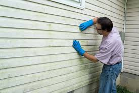 Trusted Roselle, NJ Siding Experts